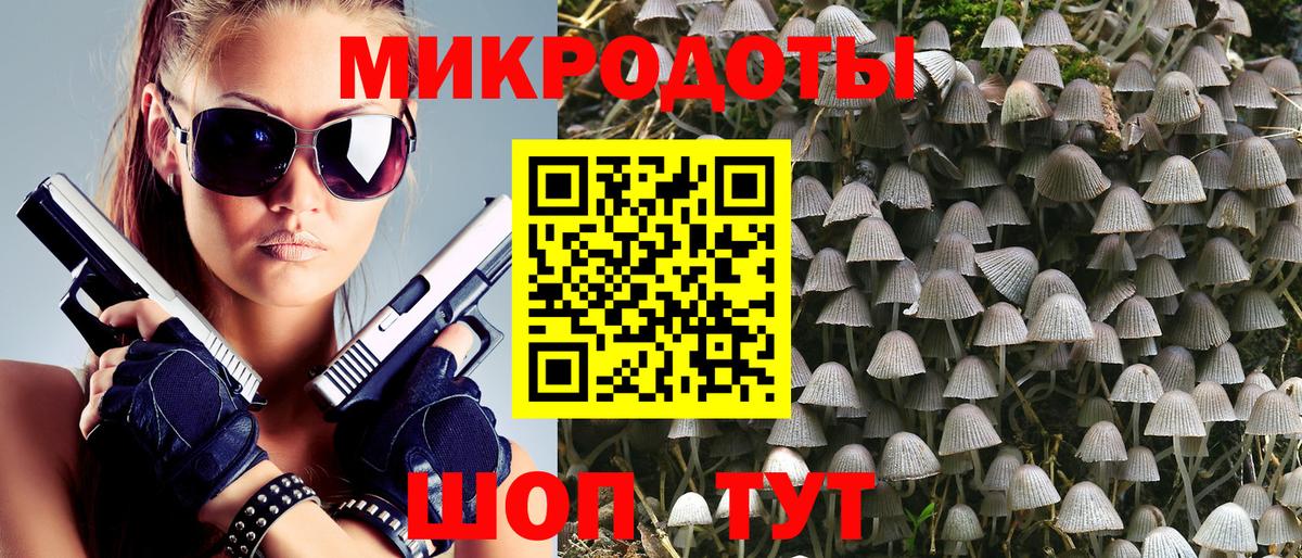 Северобайкальск  Галлюциногенные грибы Psilocybine cubensis  Вход с VPN 