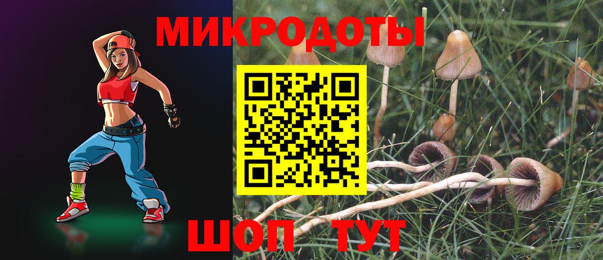Галлюциногенные грибы Cubensis Северобайкальск